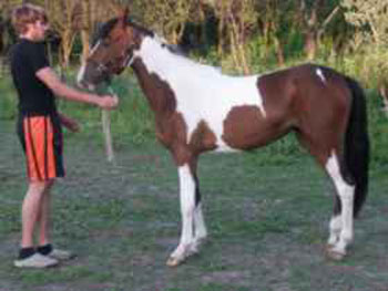 Kopie (2) von Adeline 6