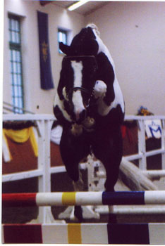 Kopie von Asterix 10