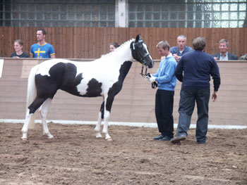 Parkentin23052005 053