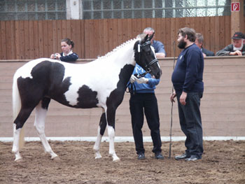 Parkentin23052005 054