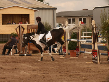 Reitturnier Schwaan (1)