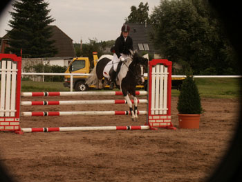 Reitturnier Schwaan (2)