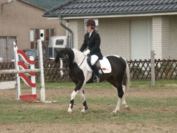 Reitturnier Schwaan (3)
